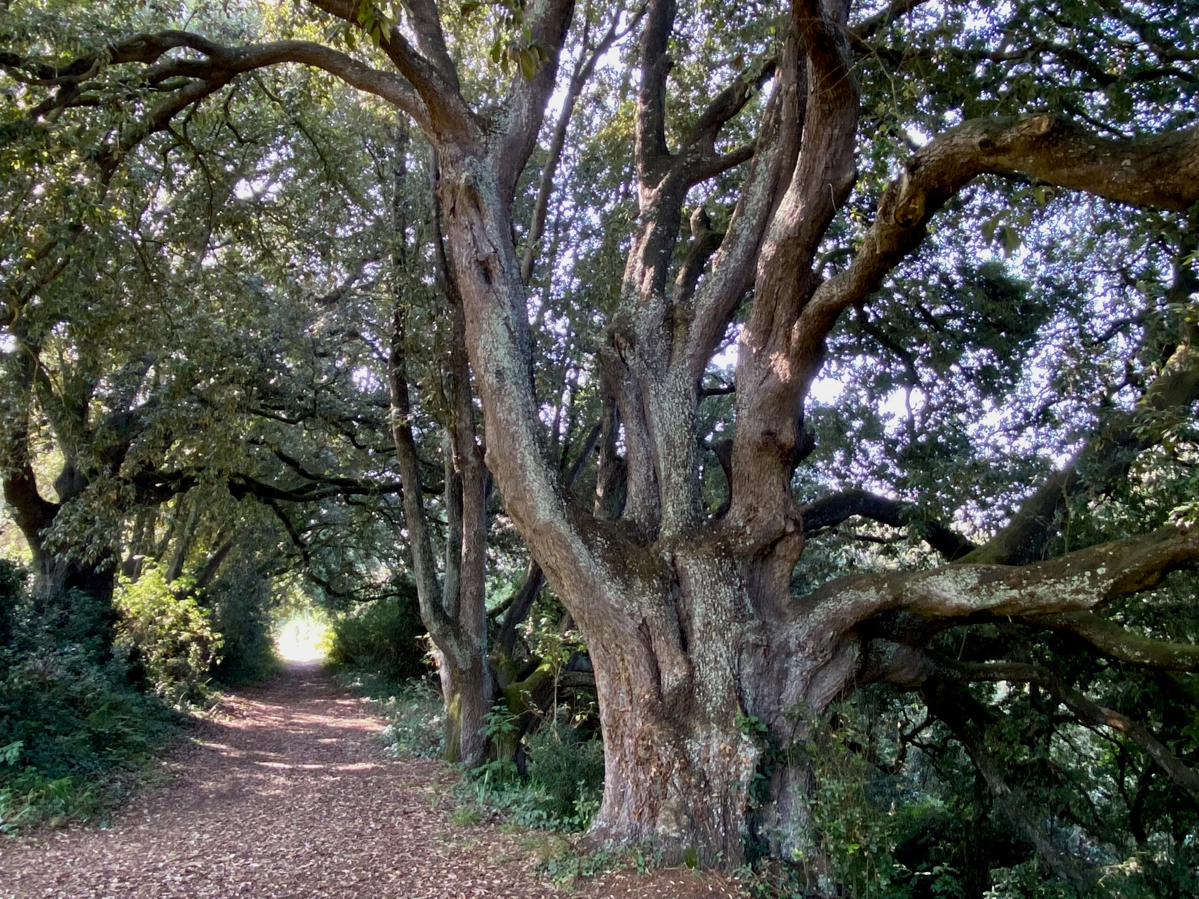 Le Parc de la Briantais