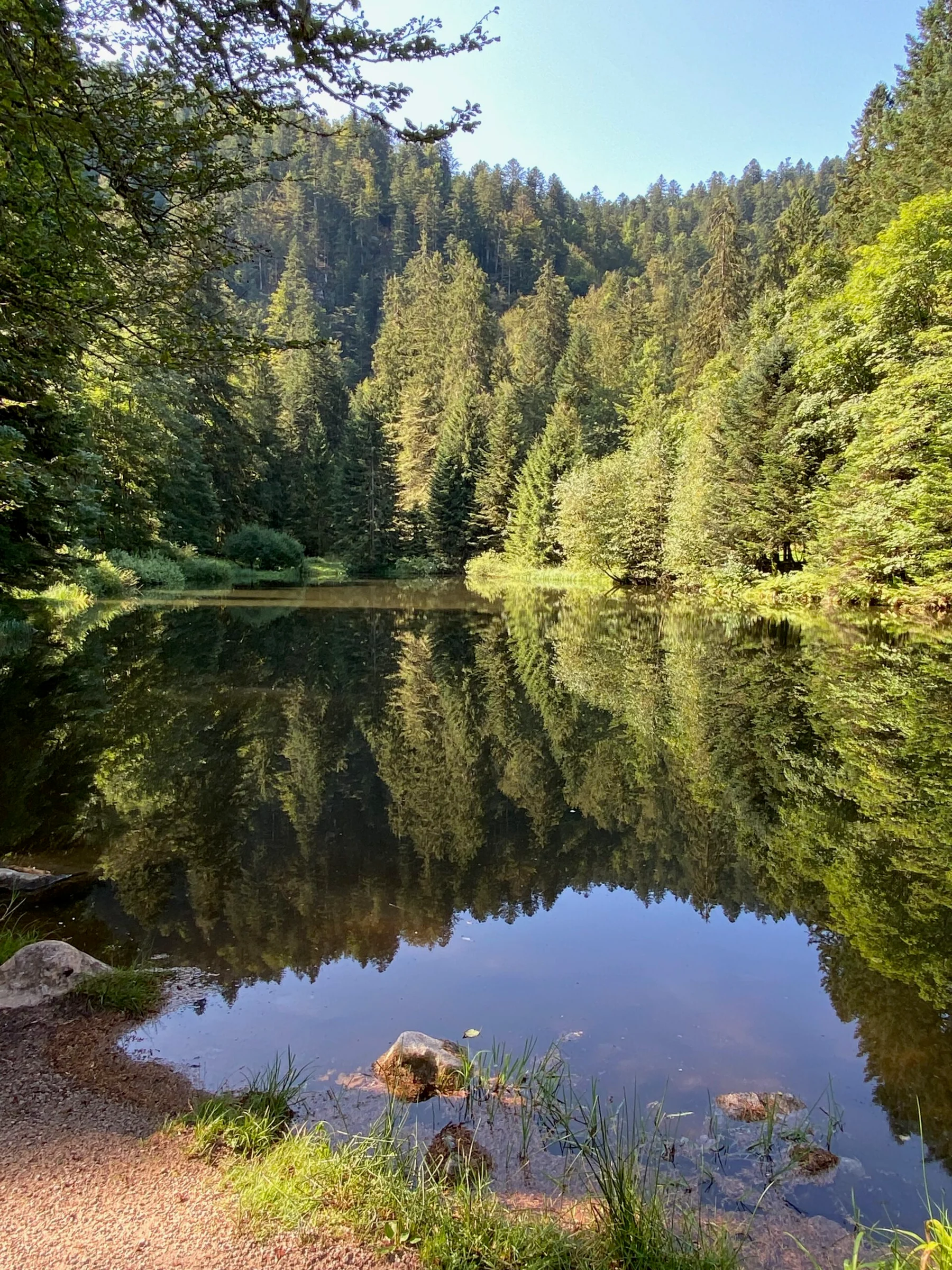 Petit Lac dans les Vosges
