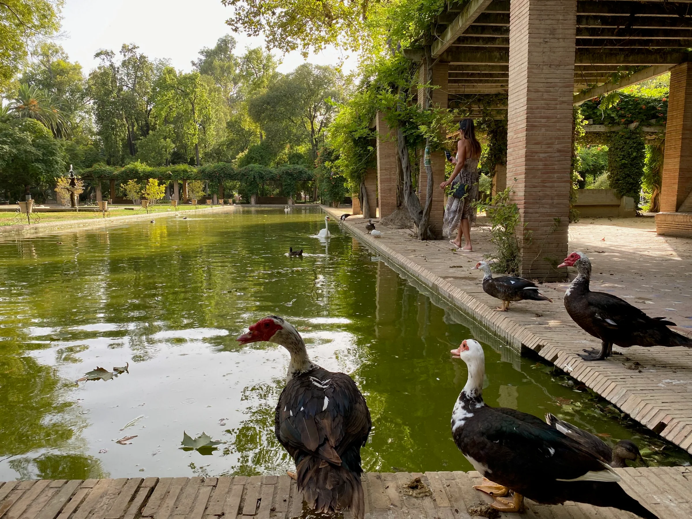 Parc de Maria Luisa, Séville