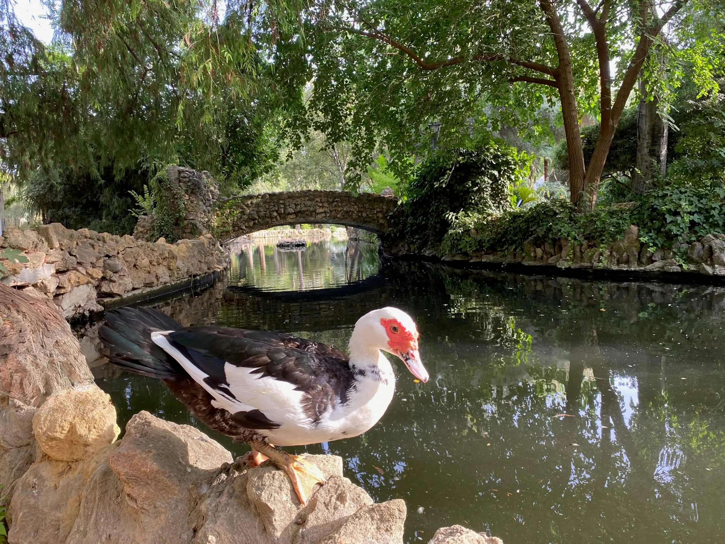 Parc de Maria Luisa, Séville